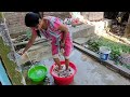 How To Wash Heavy Blanket At Home Blanket Washing In Desi Style Indianhousewifedailyvlog
