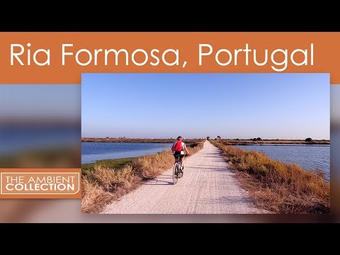 Virtual Cycle Ria Formosa and Landscapes of Algarve, Portugal with Music