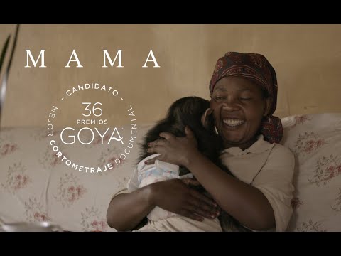 Emergency, war in DR Congo: mental health and food