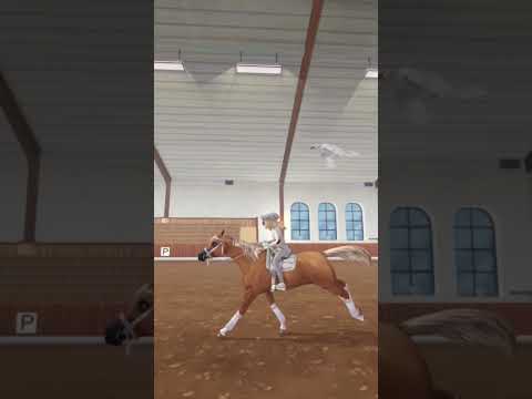 Кто не ходит на тренировки,того Алина будет бить🌚 #starstable