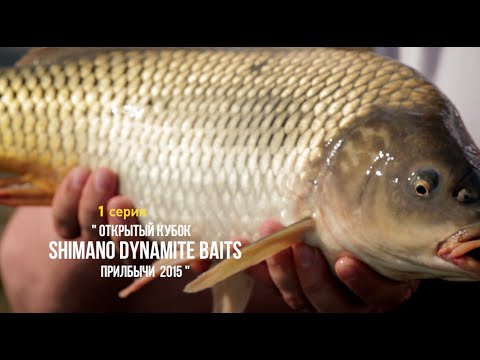 "Открытый кубок SHIMANO DYNAMITE BAITS Прилбычи 2015" . 1 серия