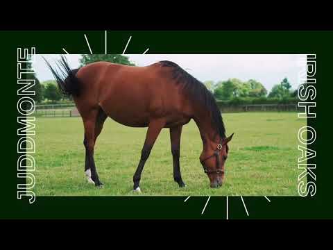 Enable the Oaks Queen