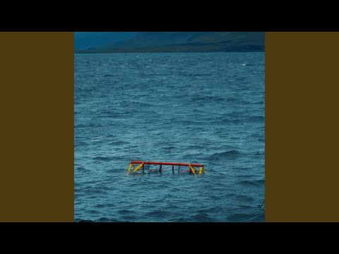 Fuglarnir Kveðja Seinna