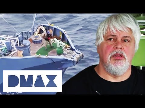 Sea Shepherds Can't Stop Whalers From Killing Whales | Whale Wars