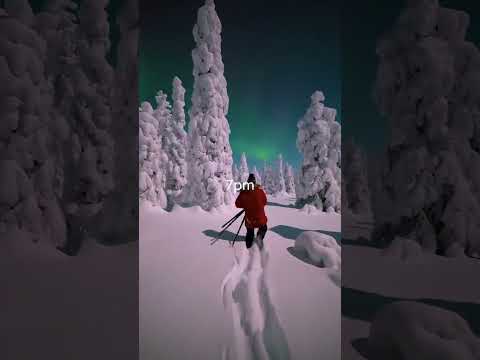 Polar night means the sun doesn't rise above the horizon. #finland #finlandwinter #northernlights