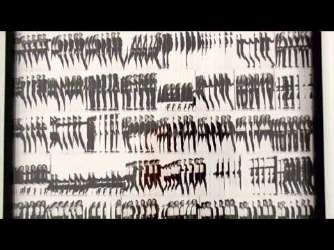 ALBERT WATSON -- VISIONS FEAT. COTTON MADE IN AFRICA