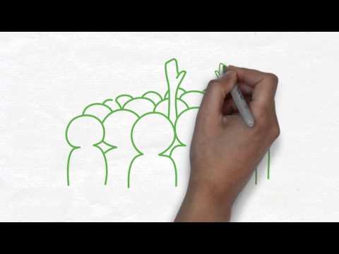 World Meeting of Families 2015 Informational Video