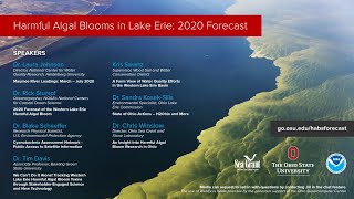 2020 Lake Erie Harmful Algal Blooms Forecast