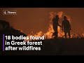 18 bodies found in Greek forest hit by wildfires
