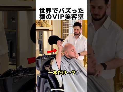 世界でバズった猿のVIP美容室