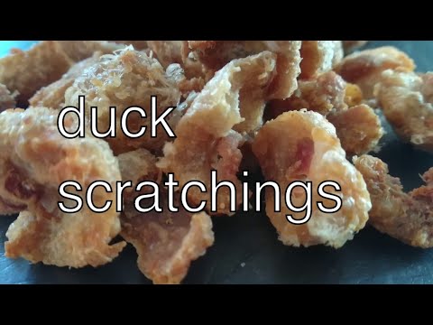download lagu mp3 mp4 Duck Skin Cracklings, download lagu Duck Skin Cracklings gratis, unduh video klip Duck Skin Cracklings