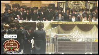 15. חתונת הרב חיים מאיר הגר שליט"א בהגה"צ הרב שליט"א מאלעד