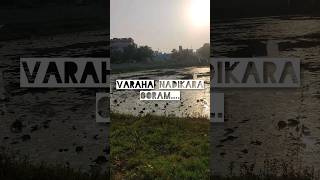 Download lagu Varaha nadikara ooram | sangamam | #loveformusic #violin #melody #bliss #music #arrahman #shorts mp3