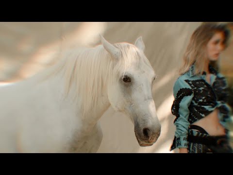 ABODI SS21: Enter the Empire of the Twin Unisus