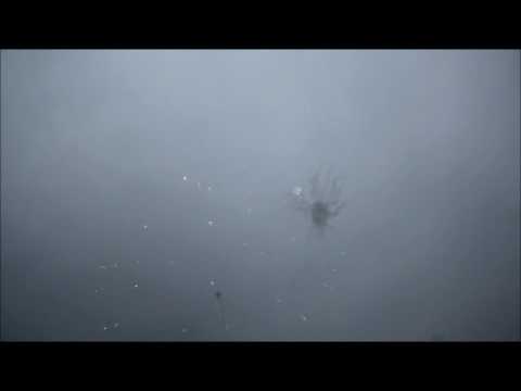 DP22EA1-3T  3" Dun Pai "Prestige A1" Asst - 36 Effects w/ Tails