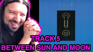 REACTION! RUSH Between Sun And Moon 1993 COUNTERPARTS Album