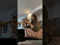 I taught @Hiba Tawaji how to play the trumpet 🎺😂 She’s got the thing ! 🤦🏽‍♂️