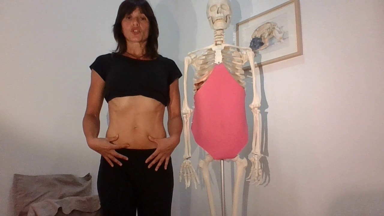 Aprendamos a identificar los músculos abdominales