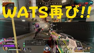 [APEX:プラチナ]めっちやダウンしたけどカバーが熱くてチャンピオン[SAYER SUN]