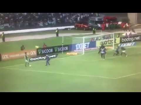 Gol do Palmeiras (Raphael Veiga)  -  CSA 0 x 1 Palmeiras - Campeonato Brasileiro 2019