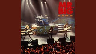 Download lagu Green-Tinted Sixties Mind mp3