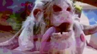 Butthole Surfers-Kuntz