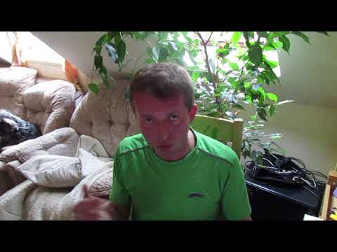 Jak Wychować Psa Czyli Poradnik Dla Nowych Psiarzy