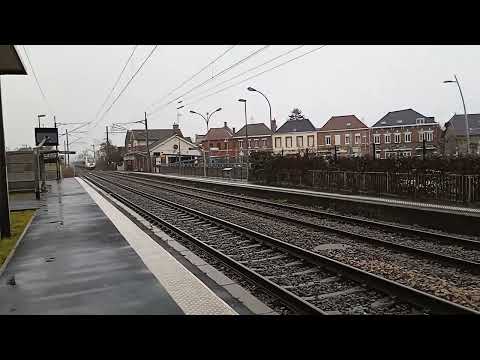Passage du TGV inOui 7165 en gare de Montigny-en-Ostrevent.