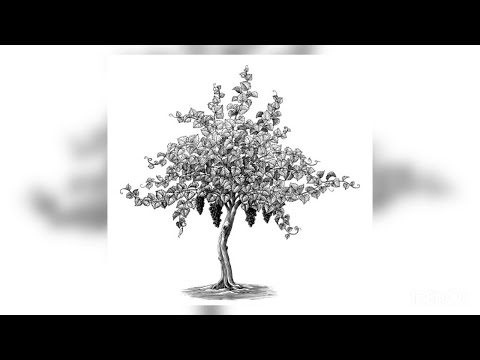 NumbXiller X Catcher - العنبة (NumbSormek)