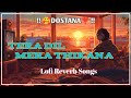 TERA DIL MERA THIKANA DOSTANA ️ LOFI REVERB SONG