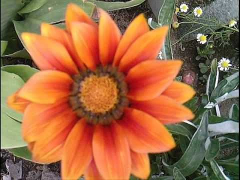 KING TUBBY UP TOWN SPECIAL