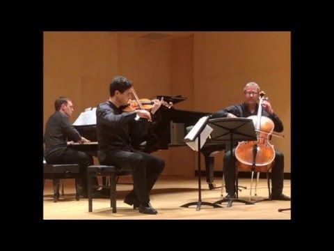 FRIEDRICH PIANO TRIO - Brahms trio op. 8 - 1st mov - (Live recording)