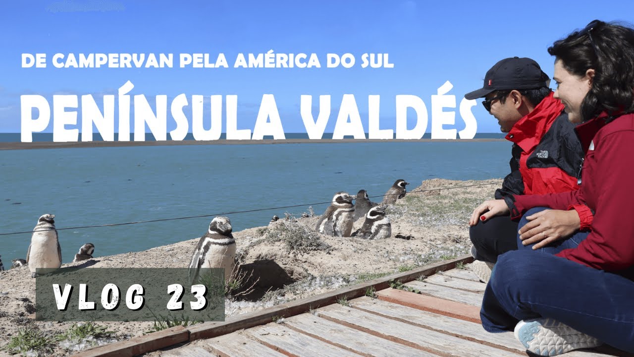 Península Valdés, Argentina - A vida selvagem da Patagônia