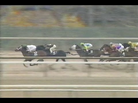 1992 Wood Memorial - ABC Broadcast