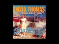 David Thomas & Two Pale Boys-Come home/Green river