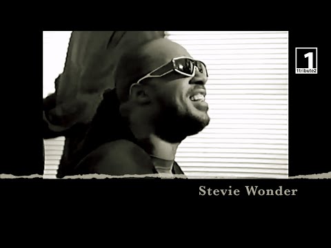 1tribute2... Stevie Wonder (2021) - A Tribute to Little Stevie