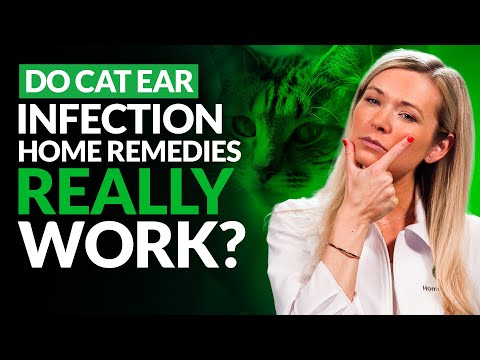 Can you REALLY TREAT Cat Ear Infection AT HOME?