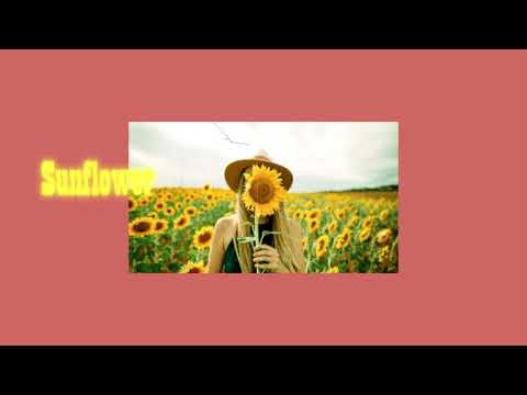[ FREE ] Beenzino x sik-k “ Sunflower “/ Happy moods / K-pop Type Beat 2019