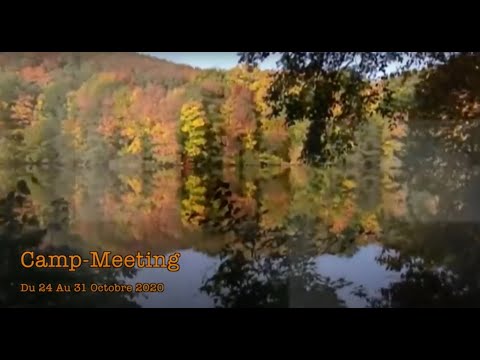 Zoom CM France Octobre 2020 - 6. TL. Changer d état d esprit - 29/10/20