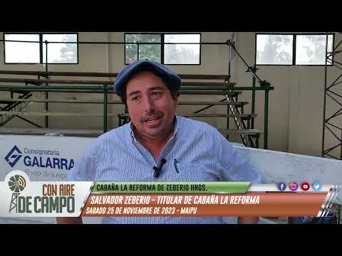 Salvador Zeberio - remate de fin de año  de Cabaña La Reforma de Zeberio Hnos. - 25/11/2023 - Maipú