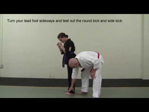 Super Dan Online Academy - Super Dan Method of Free-fighting