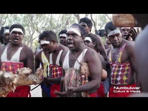 Ngarrag Nabi (Honey Bee/Sugar Bag) - Numbulwar Mardayin
