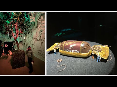 Chocolate Museum | Choconation Antwerp Belgium | Everything about chocolate | Chocolate Tasting