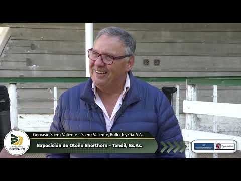 20-05-23 - Gervasio Saenz Valiente - Consignatario - Exposición de Otoño Shorthorn