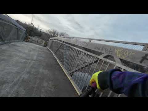 Välkommen till skogen, en guidad tur.