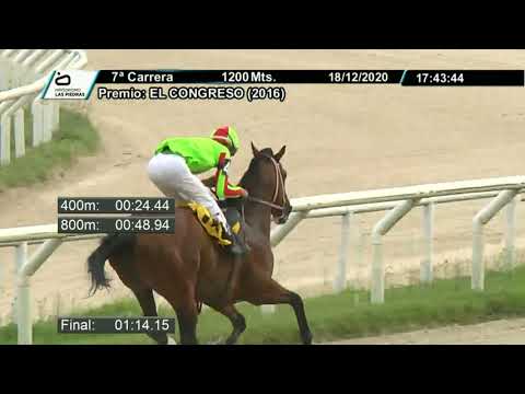 201218 c07 -  GIMME A DRINK (BRZ)   - HIPODROMO LAS PIEDRAS