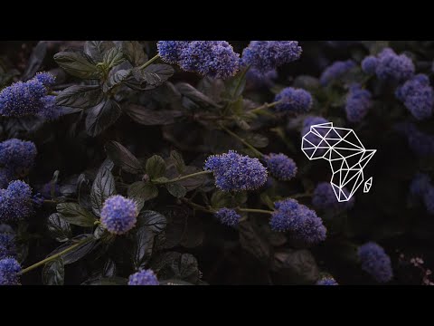 Household Funk & Chris Sen - Rituals (Avi Subban Remix) [Deep House / Stay True Sounds]