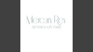 Senses On Fire (Fujiya &amp; Miyagi Remix)