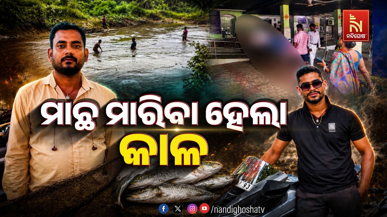 🔴Live | ମାଛ ମାରିବା ହେଲା କାଳ