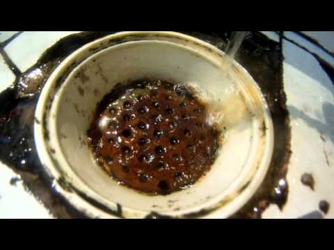 Biofilmes - O que são? Como se formam?